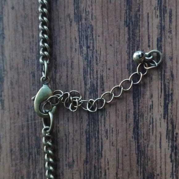 NWT 36" Long Coral Shell Rust color Necklace! - Picture 3 of 4